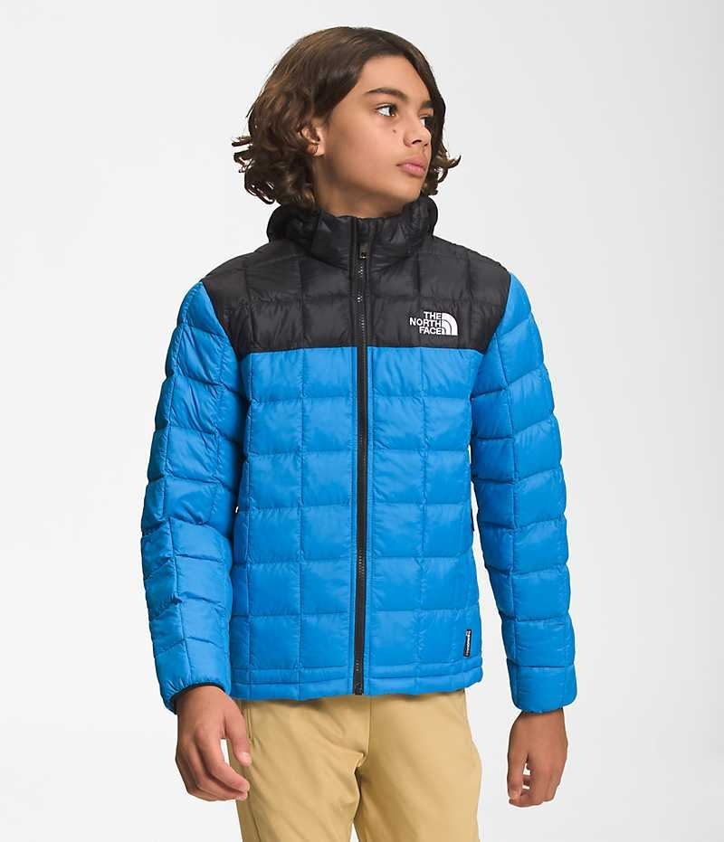 The North Face ThermoBall™ Hætte Dunjakke Drenge Blå | DK UAYKD