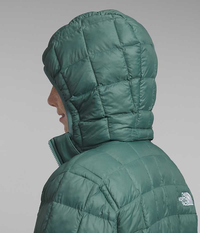 The North Face ThermoBall™ Hætte Dunjakke Drenge Grøn | DANMARK DQVOK