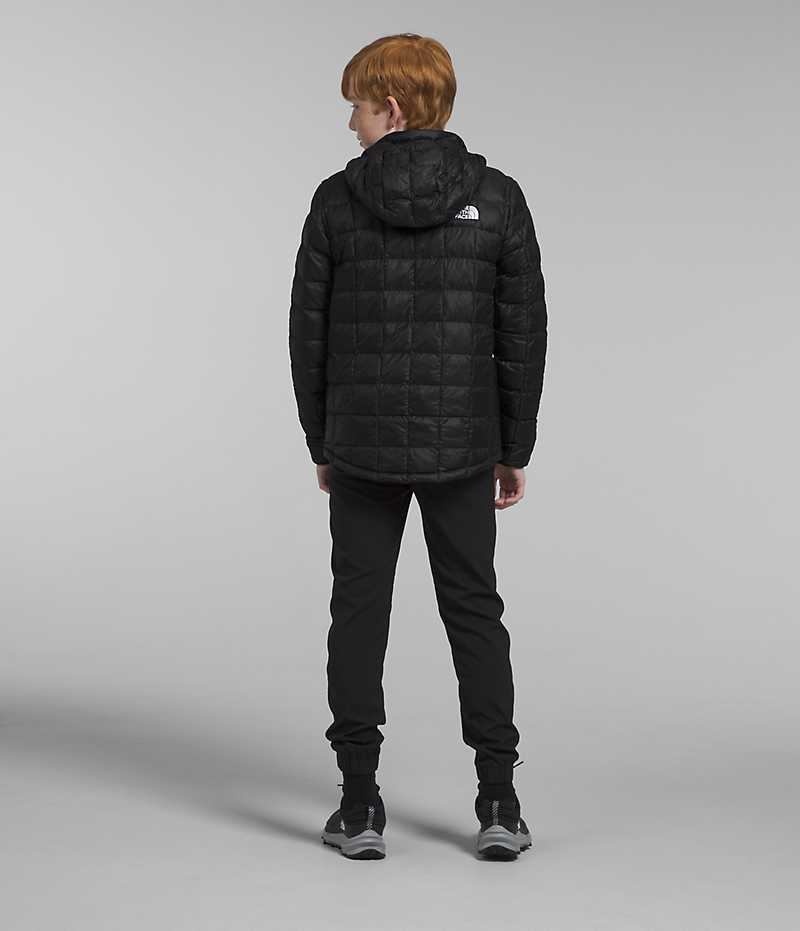 The North Face ThermoBall™ Hætte Dunjakke Drenge Sort | DK LAYPJ