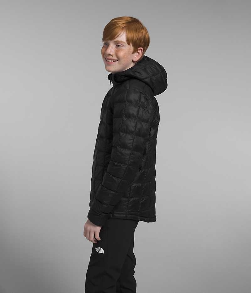 The North Face ThermoBall™ Hætte Dunjakke Drenge Sort | DK LAYPJ