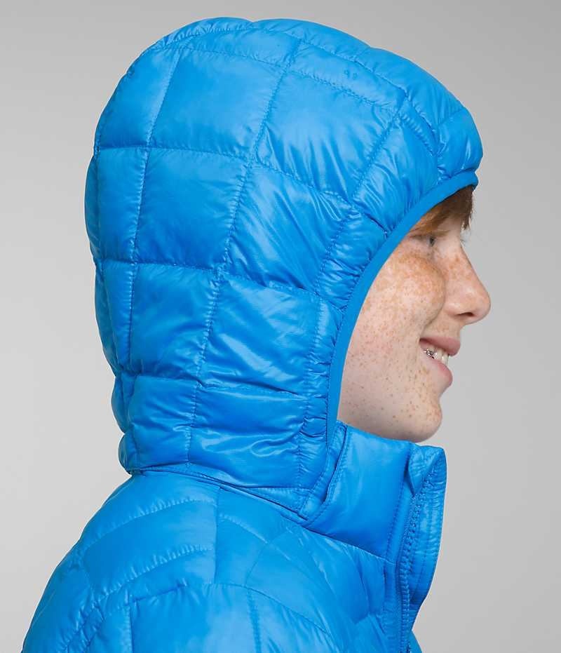 The North Face ThermoBall™ Hætte Dunjakke Drenge Blå | DANMARK IMRLJ