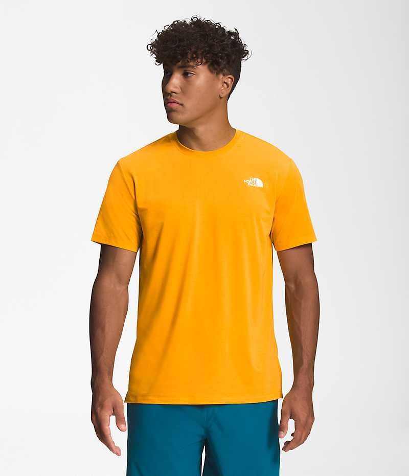 The North Face Wander Kort Sleeve T-Shirt Herre Guld | DK GNODJ